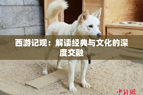 西游记观：解读经典与文化的深度交融