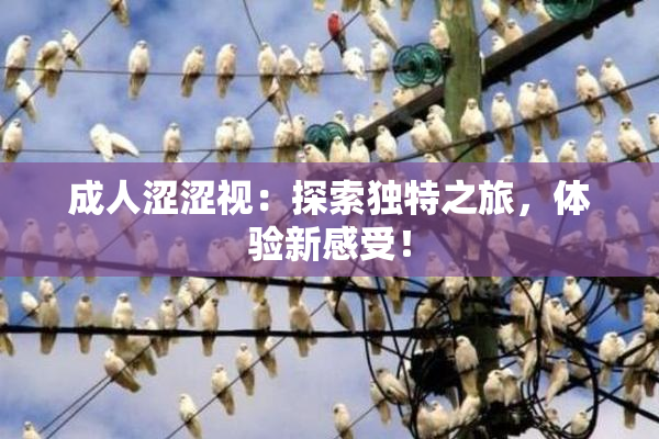 成人涩涩视：探索独特之旅，体验新感受！