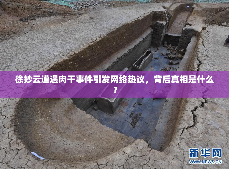 徐妙云遭遇肉干事件引发网络热议，背后真相是什么？