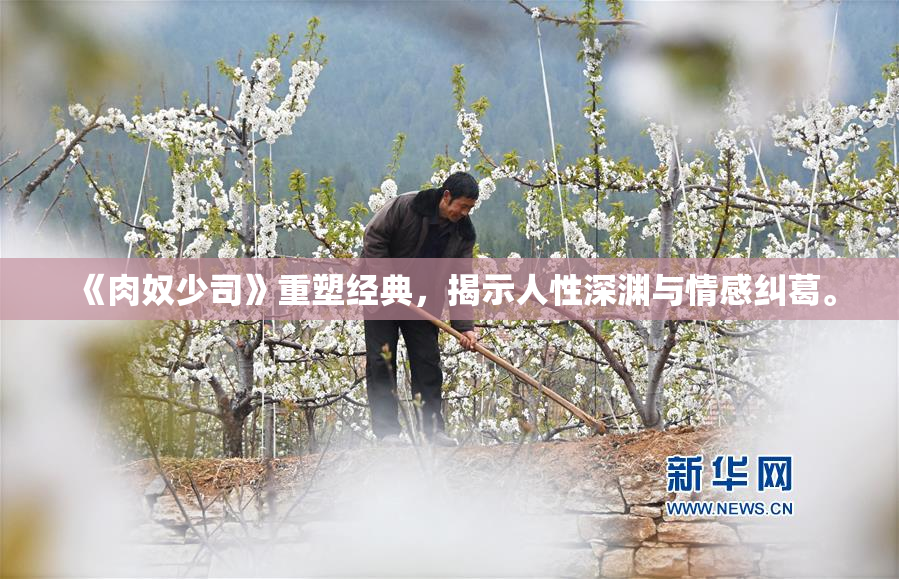 《肉奴少司》重塑经典，揭示人性深渊与情感纠葛。