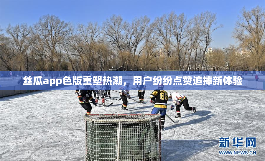 丝瓜app色版重塑热潮，用户纷纷点赞追捧新体验