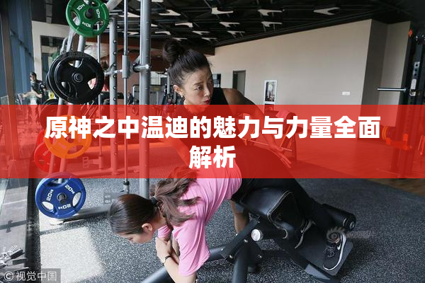 原神之中温迪的魅力与力量全面解析