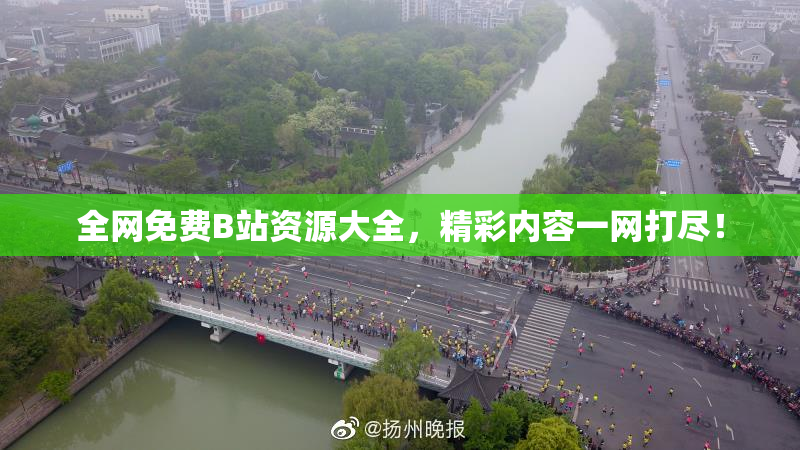 全网免费B站资源大全，精彩内容一网打尽！