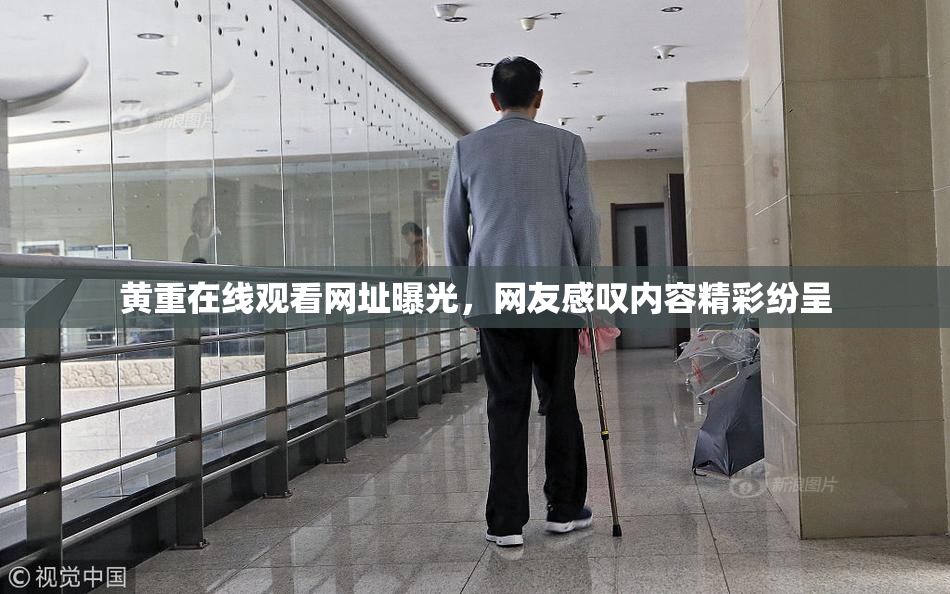 黄重在线观看网址曝光，网友感叹内容精彩纷呈