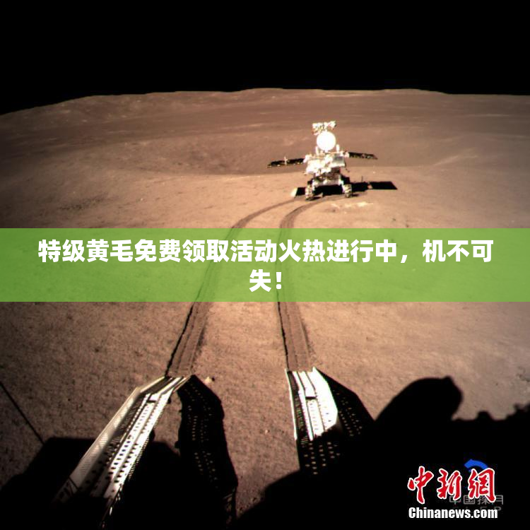 特级黄毛免费领取活动火热进行中，机不可失！