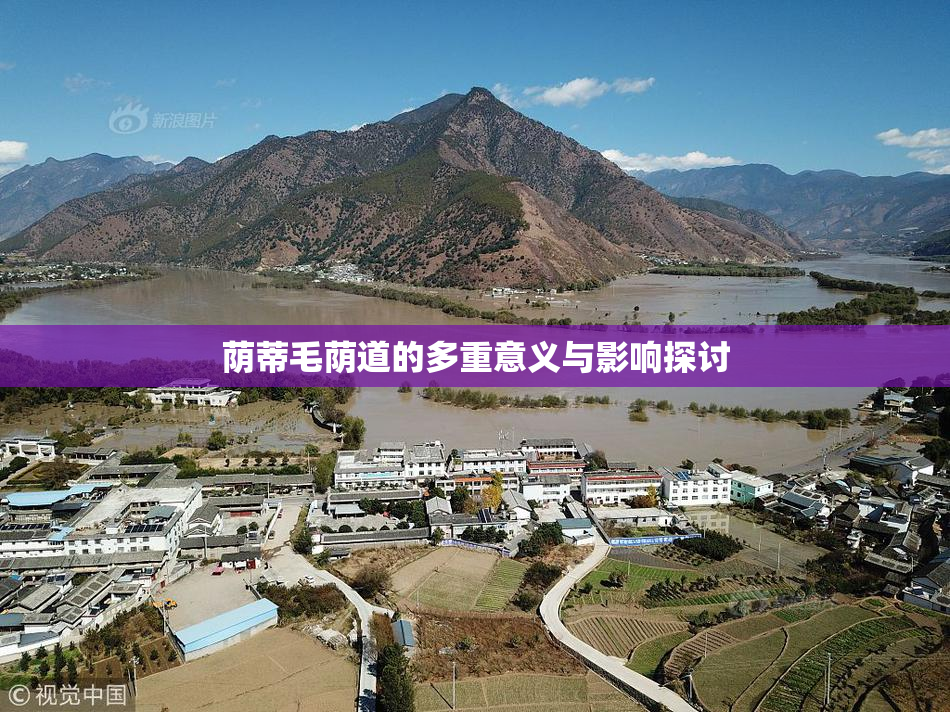 荫蒂毛荫道的多重意义与影响探讨