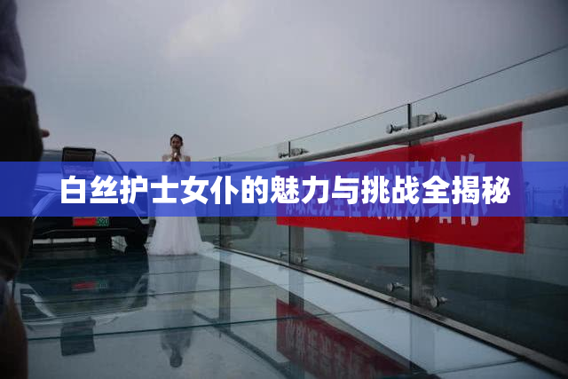 白丝护士女仆的魅力与挑战全揭秘