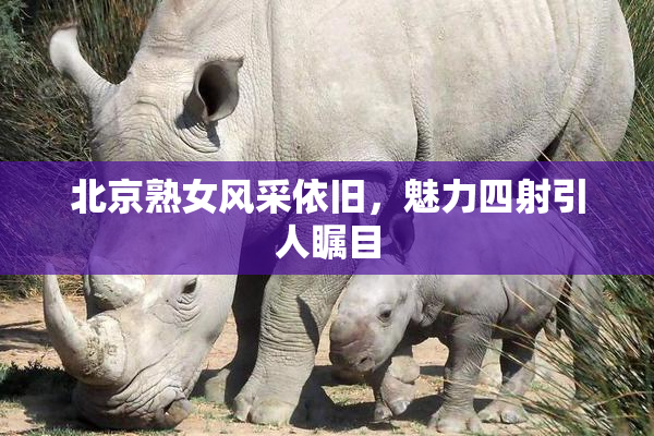 北京熟女风采依旧，魅力四射引人瞩目