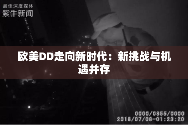 欧美DD走向新时代：新挑战与机遇并存