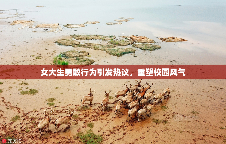 女大生勇敢行为引发热议，重塑校园风气