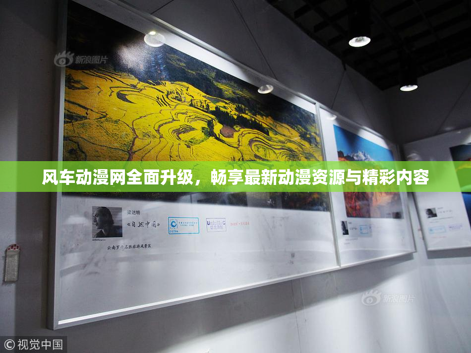 风车动漫网全面升级，畅享最新动漫资源与精彩内容