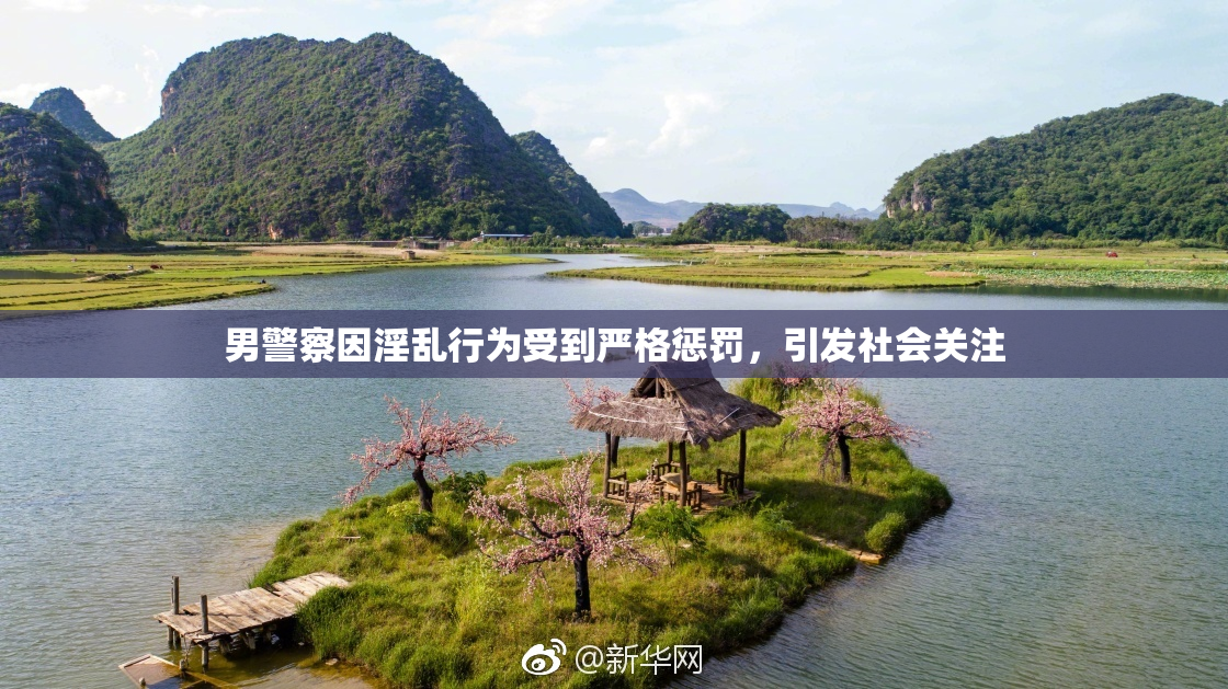 男警察因淫乱行为受到严格惩罚，引发社会关注