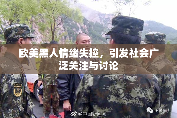 欧美黑人情绪失控，引发社会广泛关注与讨论