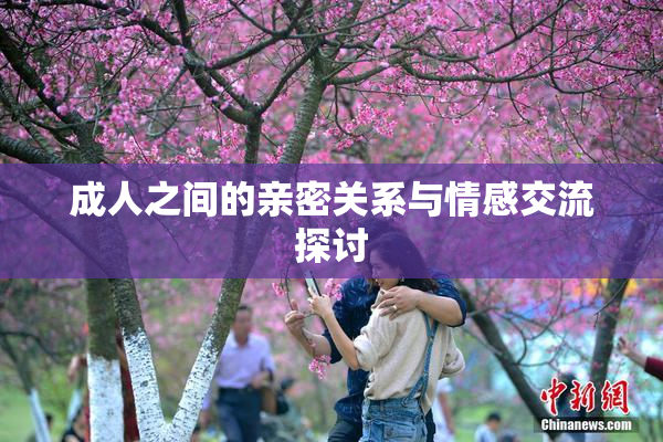 成人之间的亲密关系与情感交流探讨