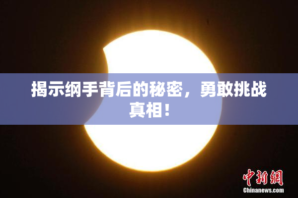 揭示纲手背后的秘密，勇敢挑战真相！