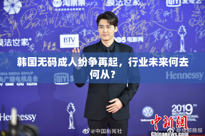 韩国无码成人纷争再起，行业未来何去何从？