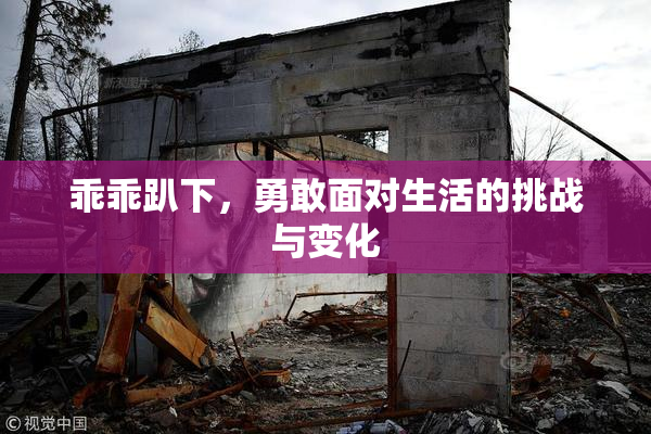 乖乖趴下，勇敢面对生活的挑战与变化