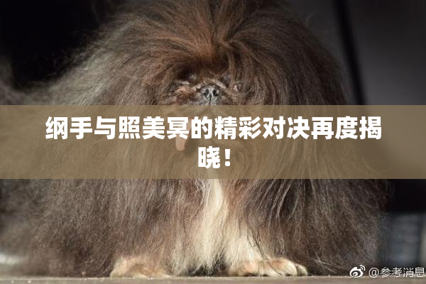 纲手与照美冥的精彩对决再度揭晓！