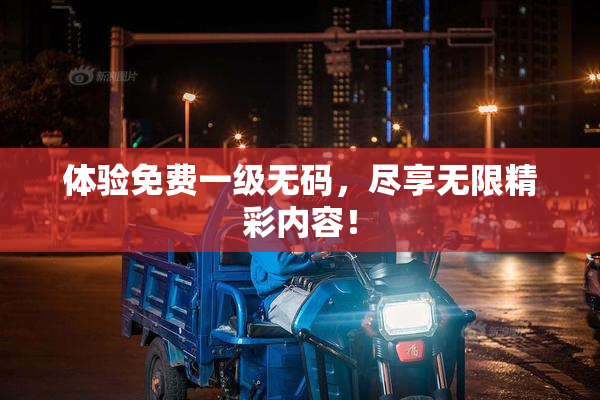 体验免费一级无码，尽享无限精彩内容！