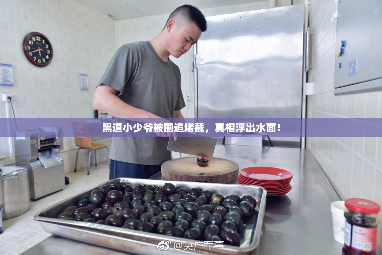 黑道小少爷被围追堵截，真相浮出水面！