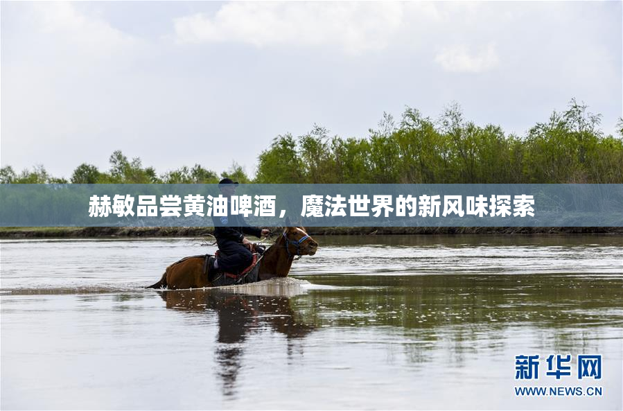 赫敏品尝黄油啤酒，魔法世界的新风味探索