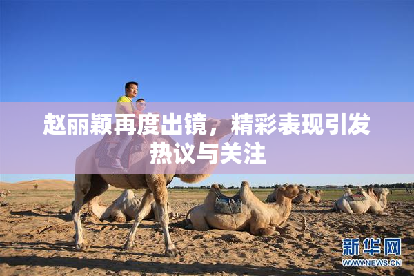 赵丽颖再度出镜，精彩表现引发热议与关注