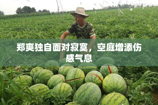郑爽独自面对寂寞，空庭增添伤感气息