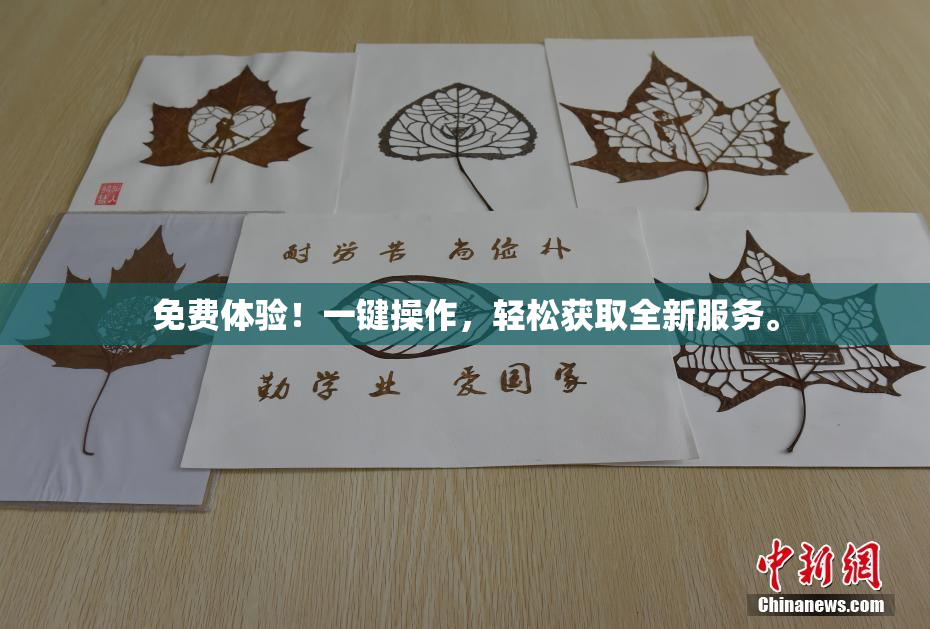 免费体验！一键操作，轻松获取全新服务。
