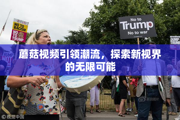 蘑菇视频引领潮流，探索新视界的无限可能