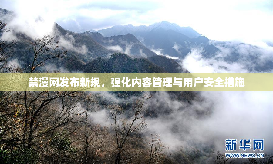 禁漫网发布新规，强化内容管理与用户安全措施