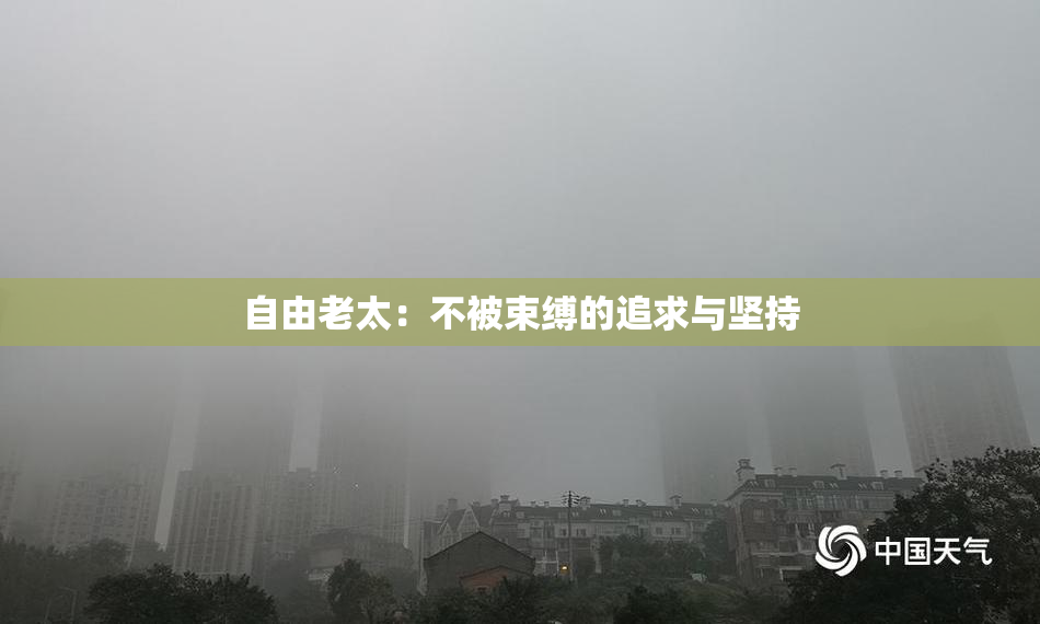 自由老太：不被束缚的追求与坚持
