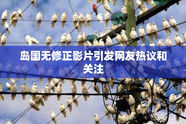 岛国无修正影片引发网友热议和关注