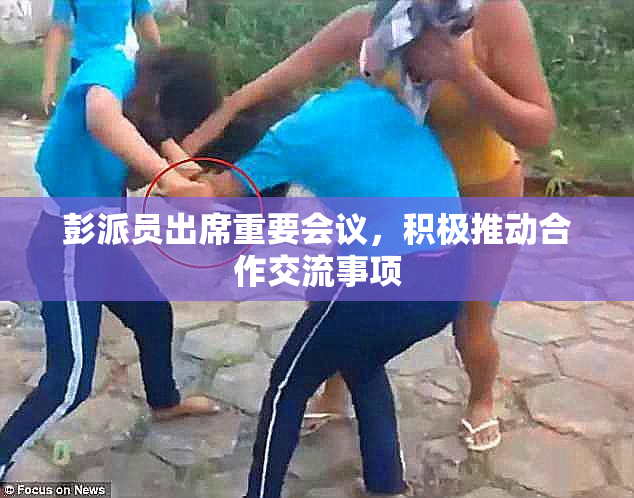 彭派员出席重要会议，积极推动合作交流事项