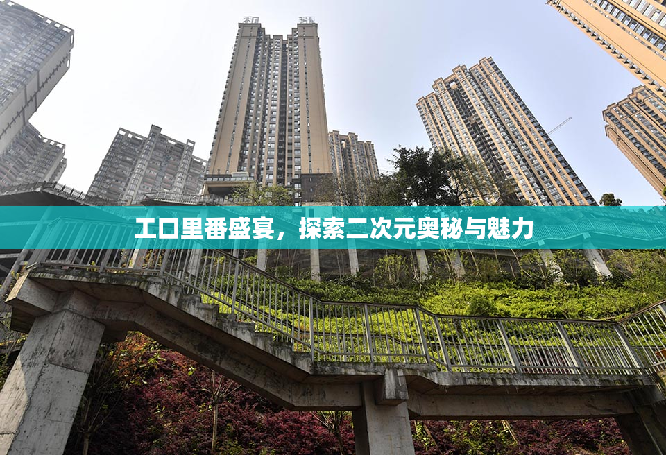 工口里番盛宴，探索二次元奥秘与魅力