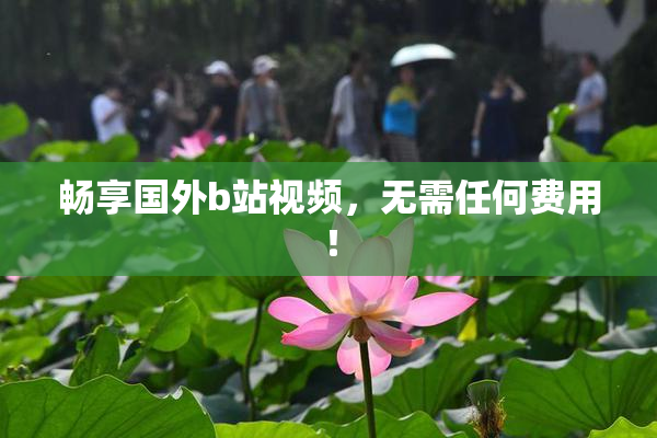 畅享国外b站视频，无需任何费用！