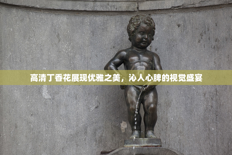 高清丁香花展现优雅之美，沁人心脾的视觉盛宴