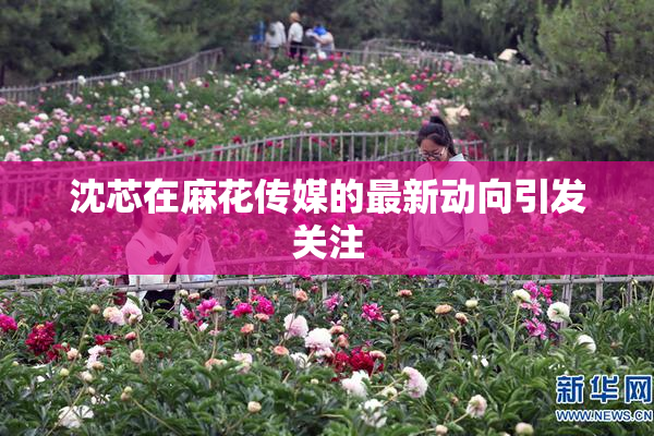 沈芯在麻花传媒的最新动向引发关注