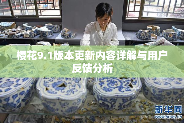 樱花9.1版本更新内容详解与用户反馈分析