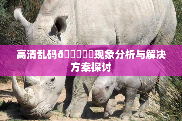 高清乱码🔞❌‌现象分析与解决方案探讨