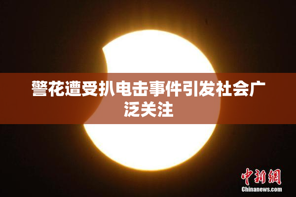 警花遭受扒电击事件引发社会广泛关注