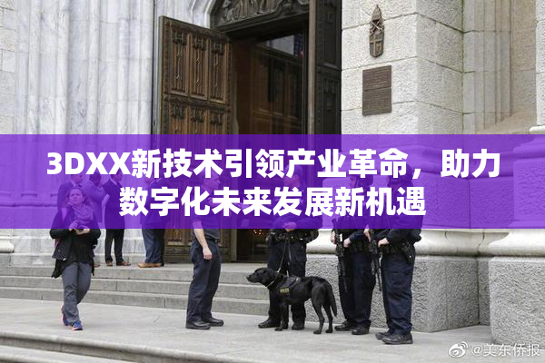 3DXX新技术引领产业革命，助力数字化未来发展新机遇