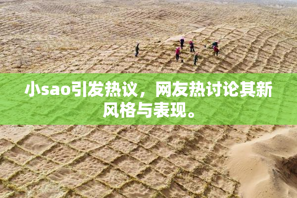 小sao引发热议，网友热讨论其新风格与表现。
