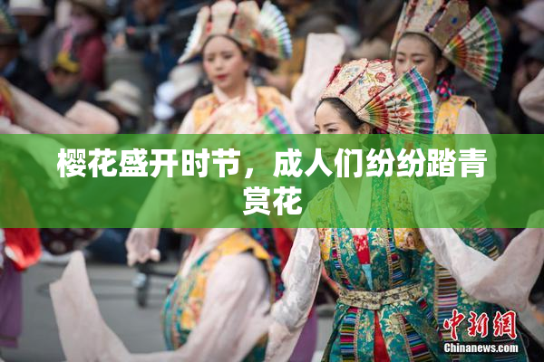 樱花盛开时节，成人们纷纷踏青赏花