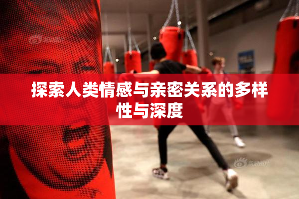探索人类情感与亲密关系的多样性与深度