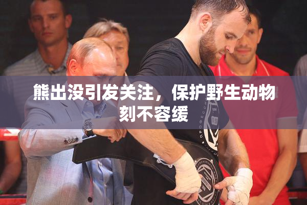熊出没引发关注，保护野生动物刻不容缓