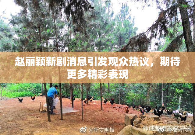 赵丽颖新剧消息引发观众热议，期待更多精彩表现