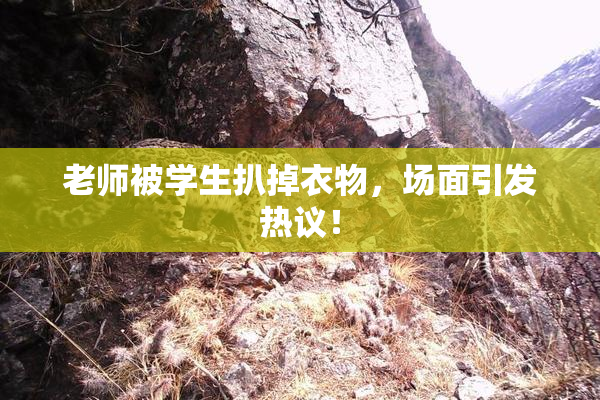 老师被学生扒掉衣物，场面引发热议！