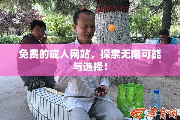 免费的成人网站，探索无限可能与选择！