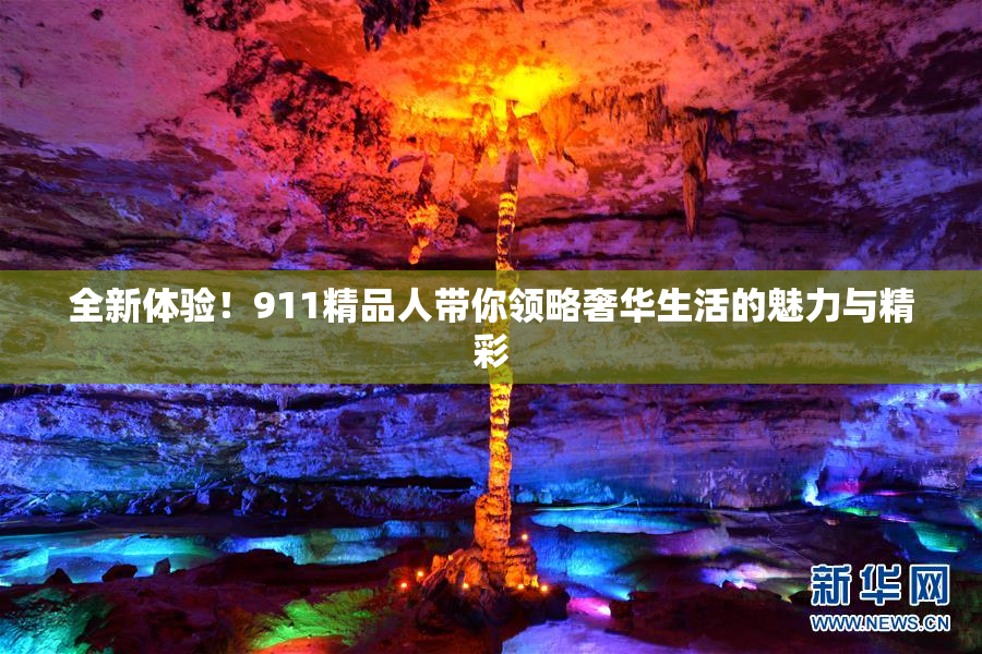 全新体验！911精品人带你领略奢华生活的魅力与精彩