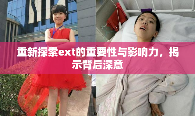 重新探索ext的重要性与影响力，揭示背后深意